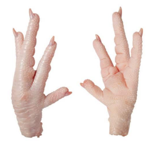 Wholesale Halal Frozen Chicken Paws