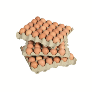 Farm Fresh White and Brown Eggs