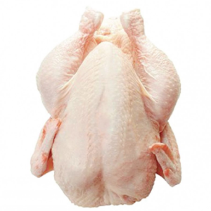 Wholesale Frozen Halal Whole Chicken