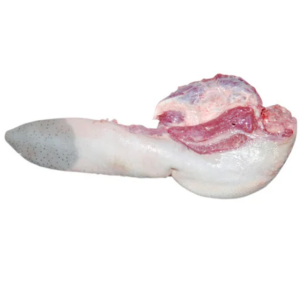 Wholesale Frozen Halal Buffalo Tongue